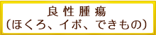良性腫瘍(ほくろ、イボ、できもの)